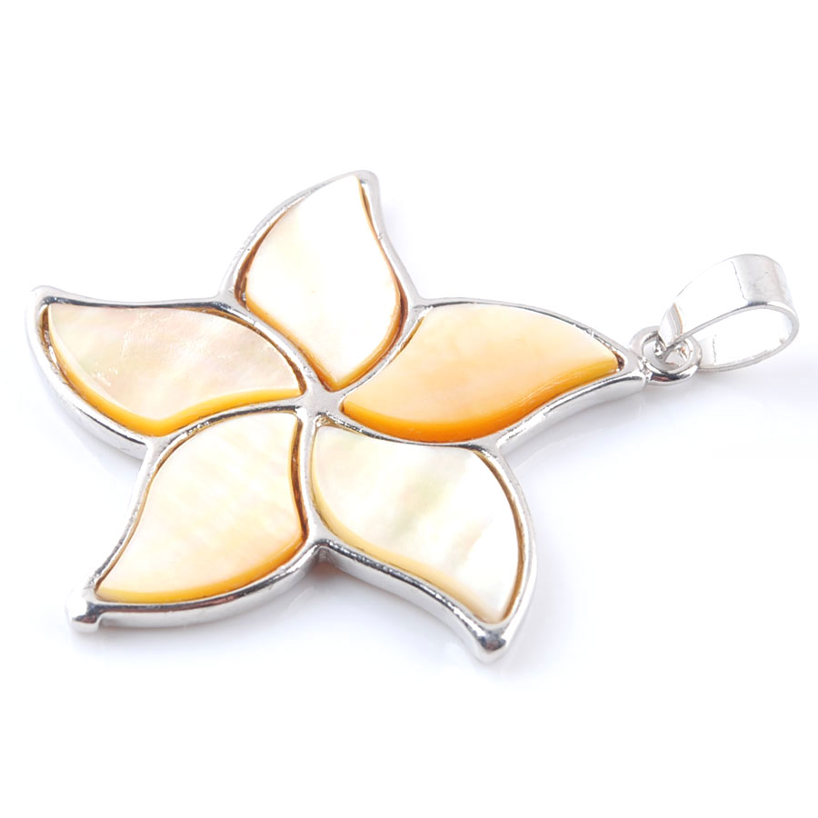 5pcs Natural New Zealand Abalo - Jewelry Making New Zealand recension och pris